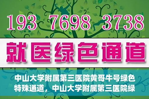 中山大学附属第三医院黄哥牛号绿色特殊通道，中山大学附属第三医院绿色特殊通道，黄哥牛号引领医疗创新之路