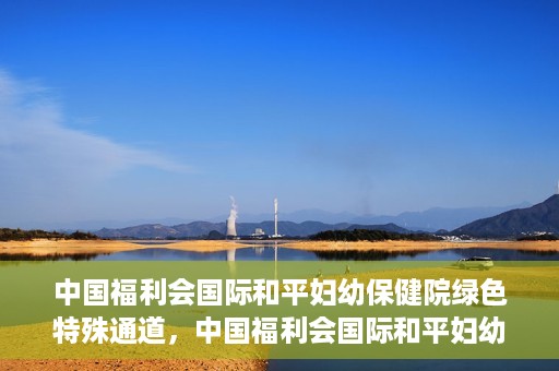 中国福利会国际和平妇幼保健院绿色特殊通道，中国福利会国际和平妇幼保健院，绿色特殊通道助力母婴健康守护