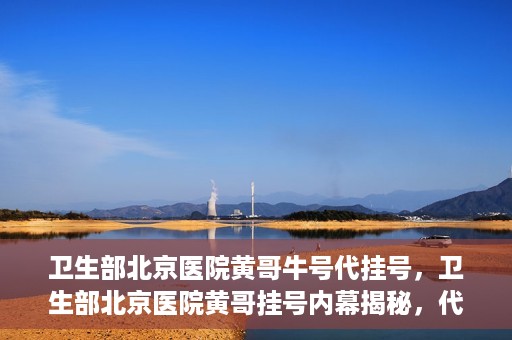 卫生部北京医院黄哥牛号代挂号，卫生部北京医院黄哥挂号内幕揭秘，代挂号背后的故事