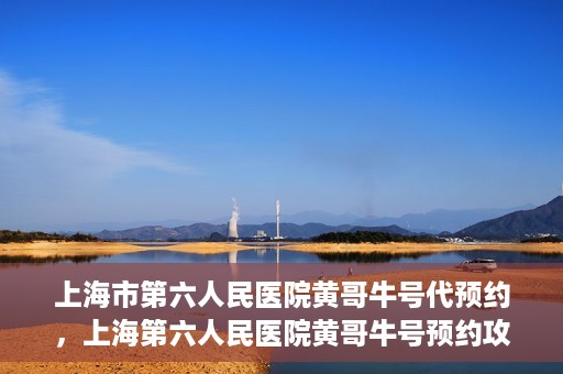 上海市第六人民医院黄哥牛号代预约，上海第六人民医院黄哥牛号预约攻略，轻松解决挂号难题