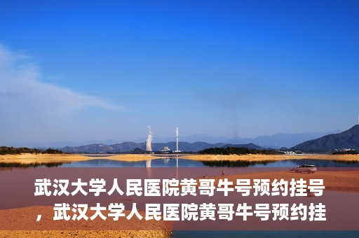 武汉大学人民医院黄哥牛号预约挂号，武汉大学人民医院黄哥牛号预约挂号攻略解析