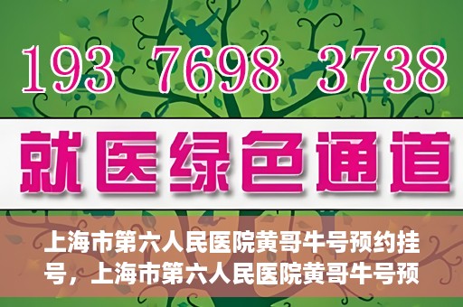 上海市第六人民医院黄哥牛号预约挂号，上海市第六人民医院黄哥牛号预约挂号攻略，轻松挂号，便捷就医体验