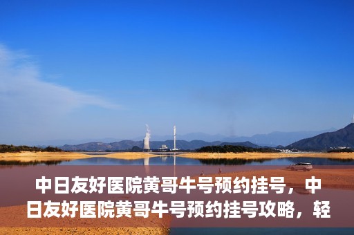 中日友好医院黄哥牛号预约挂号，中日友好医院黄哥牛号预约挂号攻略，轻松挂号，健康无忧！