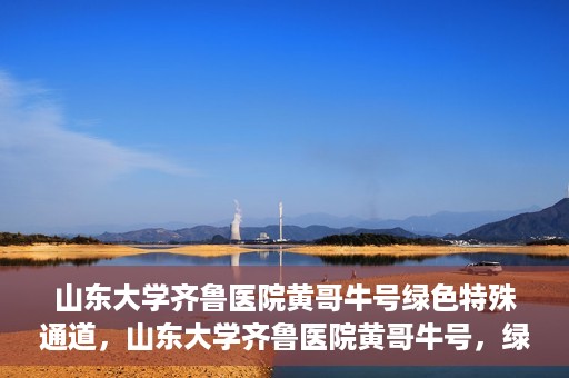 山东大学齐鲁医院黄哥牛号绿色特殊通道，山东大学齐鲁医院黄哥牛号，绿色特殊通道开启健康之门