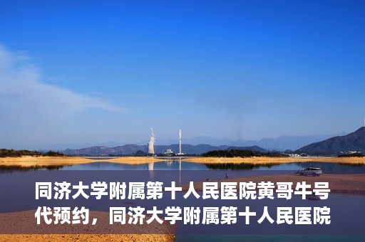 同济大学附属第十人民医院黄哥牛号代预约，同济大学附属第十人民医院黄哥牛号预约服务启动