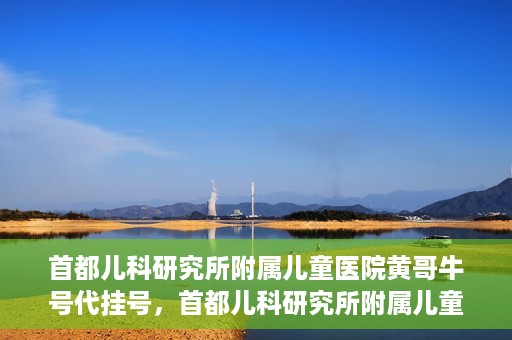 首都儿科研究所附属儿童医院黄哥牛号代挂号，首都儿科研究所附属儿童医院黄哥牛号——便捷挂号新体验