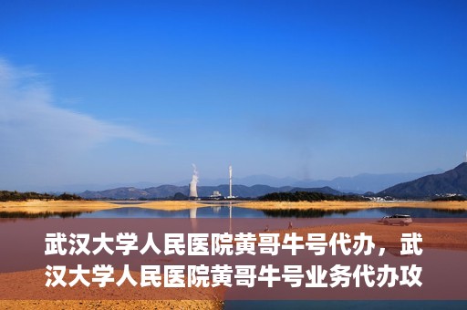 武汉大学人民医院黄哥牛号代办，武汉大学人民医院黄哥牛号业务代办攻略