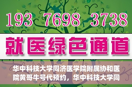 华中科技大学同济医学院附属协和医院黄哥牛号代预约，华中科技大学同济医学院附属协和医院预约服务揭秘，黄哥牛号代预约解析