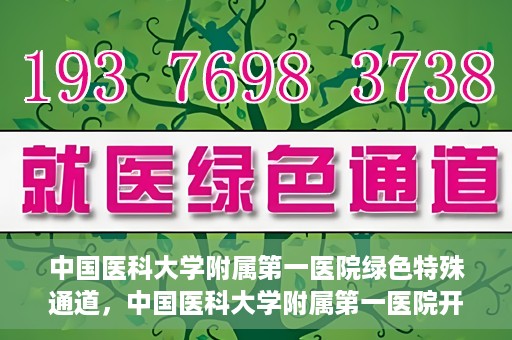 中国医科大学附属第一医院绿色特殊通道，中国医科大学附属第一医院开通绿色特殊通道，助力患者就医体验升级