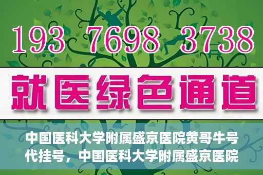 中国医科大学附属盛京医院黄哥牛号代挂号，中国医科大学附属盛京医院黄哥牛号代挂号背后的故事与真相揭秘