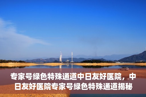 专家号绿色特殊通道中日友好医院，中日友好医院专家号绿色特殊通道揭秘