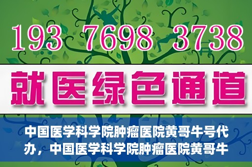 中国医学科学院肿瘤医院黄哥牛号代办，中国医学科学院肿瘤医院黄哥牛号挂号代办服务解析