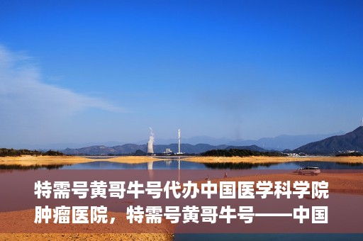 特需号黄哥牛号代办中国医学科学院肿瘤医院，特需号黄哥牛号——中国医学科学院肿瘤医院代办服务详解