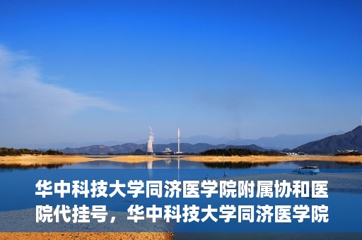 华中科技大学同济医学院附属协和医院代挂号，华中科技大学同济医学院附属协和医院代挂号服务详解