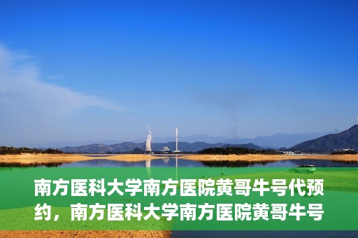 南方医科大学南方医院黄哥牛号代预约，南方医科大学南方医院黄哥牛号预约服务解析