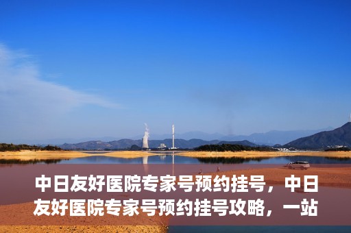 中日友好医院专家号预约挂号，中日友好医院专家号预约挂号攻略，一站式解决您的就医需求