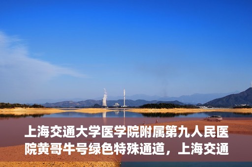 上海交通大学医学院附属第九人民医院黄哥牛号绿色特殊通道，上海交通大学医学院附属第九人民医院黄哥牛号，绿色特殊通道开启健康之门