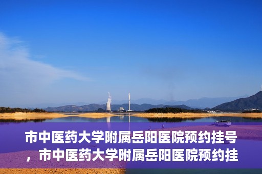 市中医药大学附属岳阳医院预约挂号，市中医药大学附属岳阳医院预约挂号攻略，便捷就医从这里开始