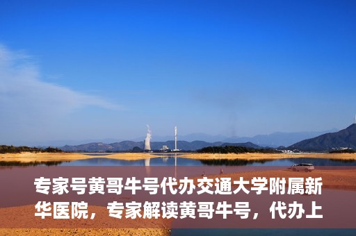 专家号黄哥牛号代办交通大学附属新华医院，专家解读黄哥牛号，代办上海交通大学附属新华医院攻略揭秘