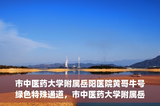 市中医药大学附属岳阳医院黄哥牛号绿色特殊通道，市中医药大学附属岳阳医院黄哥牛号，绿色特殊通道开启健康之门