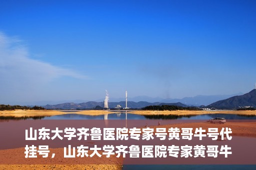 山东大学齐鲁医院专家号黄哥牛号代挂号，山东大学齐鲁医院专家黄哥牛号挂号攻略，专业代挂号服务解析