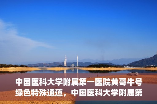 中国医科大学附属第一医院黄哥牛号绿色特殊通道，中国医科大学附属第一医院黄哥牛号，绿色特殊通道的开启与探索