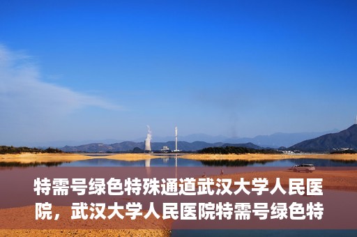 特需号绿色特殊通道武汉大学人民医院，武汉大学人民医院特需号绿色特殊通道，打造人性化医疗体验新标杆