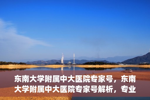 东南大学附属中大医院专家号，东南大学附属中大医院专家号解析，专业医疗团队引领健康之路