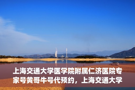 上海交通大学医学院附属仁济医院专家号黄哥牛号代预约，上海交通大学医学院附属仁济医院专家号预约服务解析——黄哥牛号预约攻略揭秘