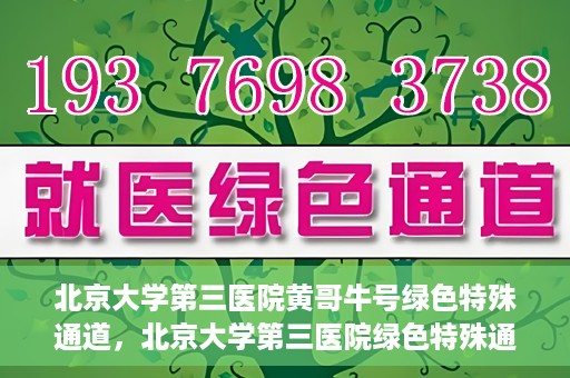 北京大学第三医院黄哥牛号绿色特殊通道，北京大学第三医院绿色特殊通道，黄哥牛号的探索与实践