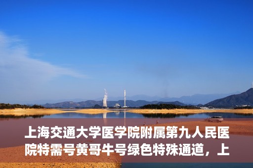 上海交通大学医学院附属第九人民医院特需号黄哥牛号绿色特殊通道，上海交通大学医学院附属第九人民医院特需号黄哥牛号，绿色特殊通道解析