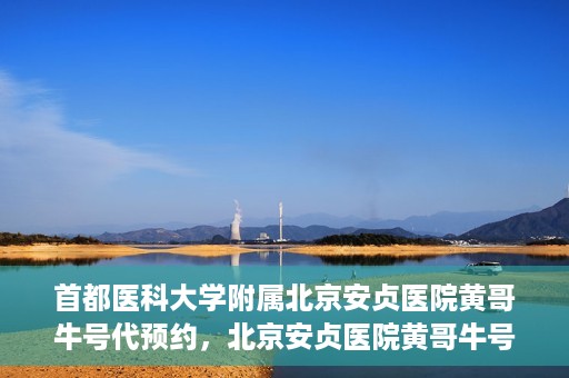 首都医科大学附属北京安贞医院黄哥牛号代预约，北京安贞医院黄哥牛号预约服务解析
