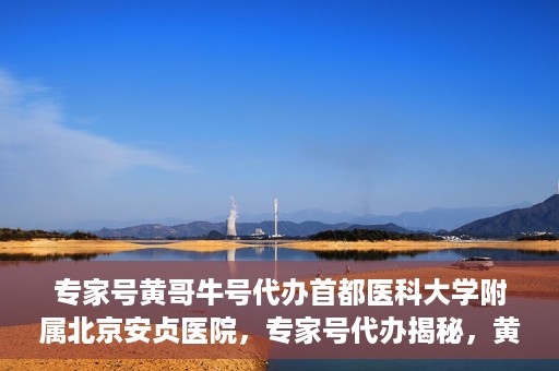 专家号黄哥牛号代办首都医科大学附属北京安贞医院，专家号代办揭秘，黄哥牛号与北京安贞医院的深度解析