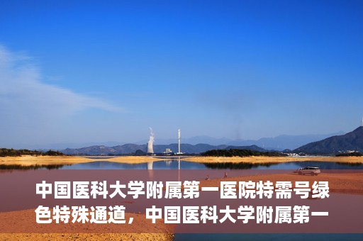 中国医科大学附属第一医院特需号绿色特殊通道，中国医科大学附属第一医院特需号绿色就医通道，打造优质医疗体验新标杆
