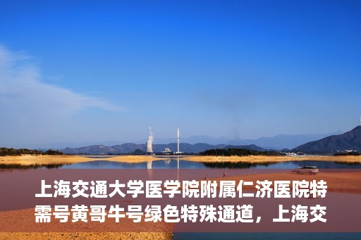 上海交通大学医学院附属仁济医院特需号黄哥牛号绿色特殊通道，上海交通大学医学院附属仁济医院特需号黄哥牛号，绿色特殊通道揭秘