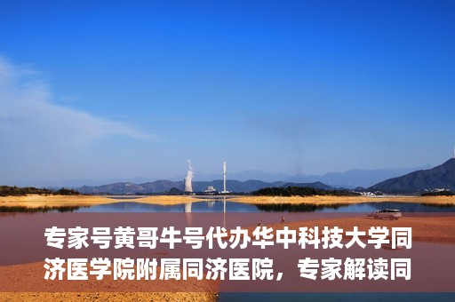 专家号黄哥牛号代办华中科技大学同济医学院附属同济医院，专家解读同济医院黄哥牛号代办服务，深度解析与体验分享