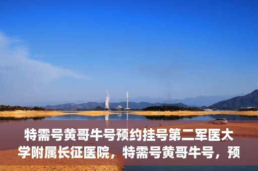 特需号黄哥牛号预约挂号第二军医大学附属长征医院，特需号黄哥牛号，预约挂号指南——第二军医大学附属长征医院