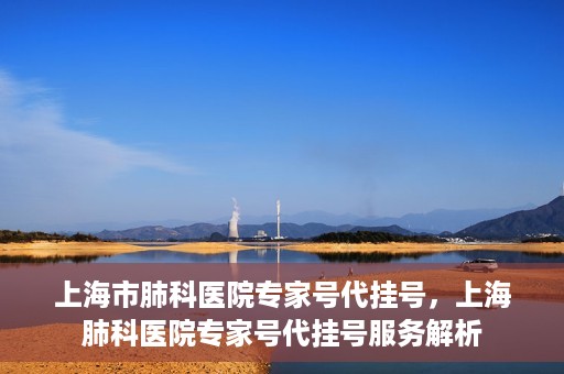 上海市肺科医院专家号代挂号，上海肺科医院专家号代挂号服务解析