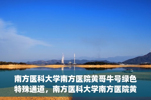 南方医科大学南方医院黄哥牛号绿色特殊通道，南方医科大学南方医院黄哥牛号，绿色特殊通道开启健康之门