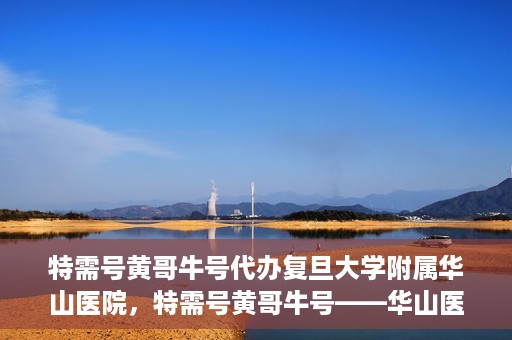 特需号黄哥牛号代办复旦大学附属华山医院，特需号黄哥牛号——华山医院代办服务详解
