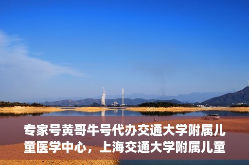 专家号黄哥牛号代办交通大学附属儿童医学中心，上海交通大学附属儿童医学中心专家号代办服务揭秘，黄哥牛号引领医疗新风尚
