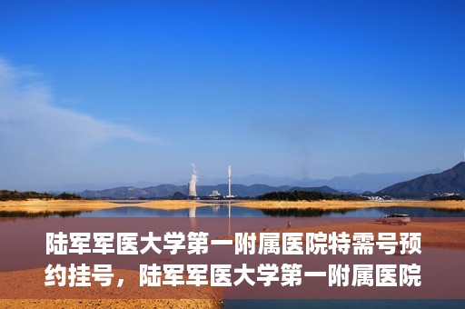 陆军军医大学第一附属医院特需号预约挂号，陆军军医大学第一附属医院特需号预约挂号指南，一站式解决您的就医需求