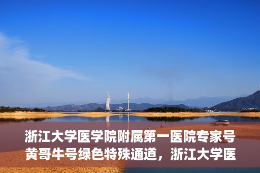 浙江大学医学院附属第一医院专家号黄哥牛号绿色特殊通道，浙江大学医学院附属第一医院专家号黄哥牛号，绿色特殊通道揭秘