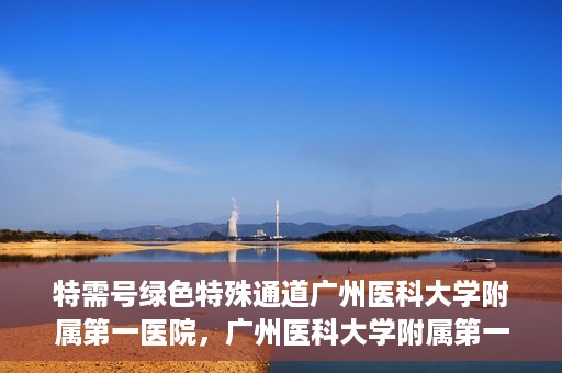 特需号绿色特殊通道广州医科大学附属第一医院，广州医科大学附属第一医院特需号绿色特殊通道，打造高品质医疗服务体验