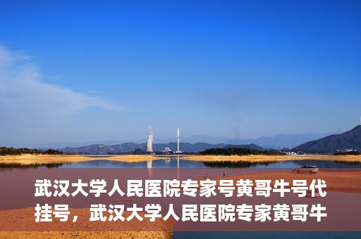 武汉大学人民医院专家号黄哥牛号代挂号，武汉大学人民医院专家黄哥牛号代挂号攻略解析