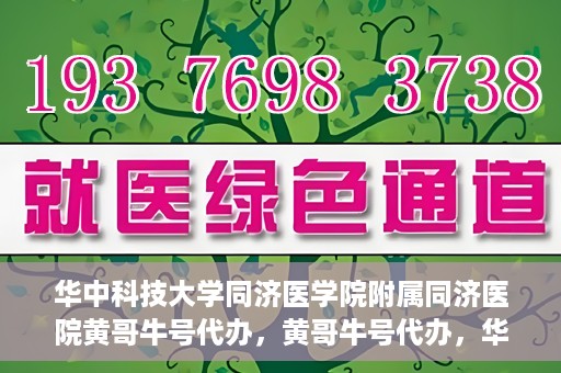 华中科技大学同济医学院附属同济医院黄哥牛号代办，黄哥牛号代办，华中科技大学同济医学院附属同济医院的便捷服务新探