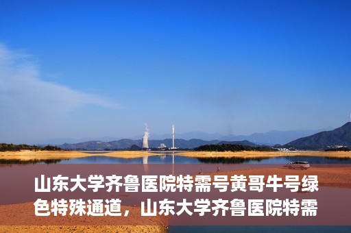 山东大学齐鲁医院特需号黄哥牛号绿色特殊通道，山东大学齐鲁医院特需号黄哥牛号，绿色就医通道揭秘