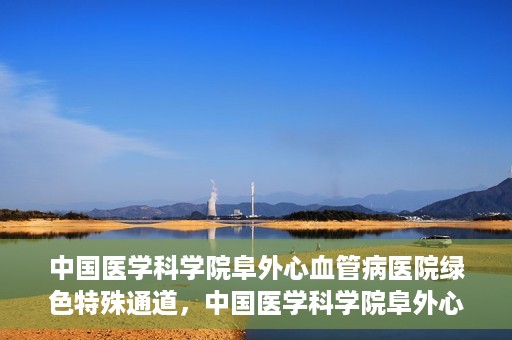 中国医学科学院阜外心血管病医院绿色特殊通道，中国医学科学院阜外心血管病医院开通绿色特殊通道，助力患者快速康复之路