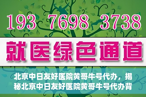 北京中日友好医院黄哥牛号代办，揭秘北京中日友好医院黄哥牛号代办背后的故事