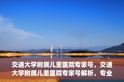 交通大学附属儿童医院专家号，交通大学附属儿童医院专家号解析，专业医疗团队与诊疗服务新篇章